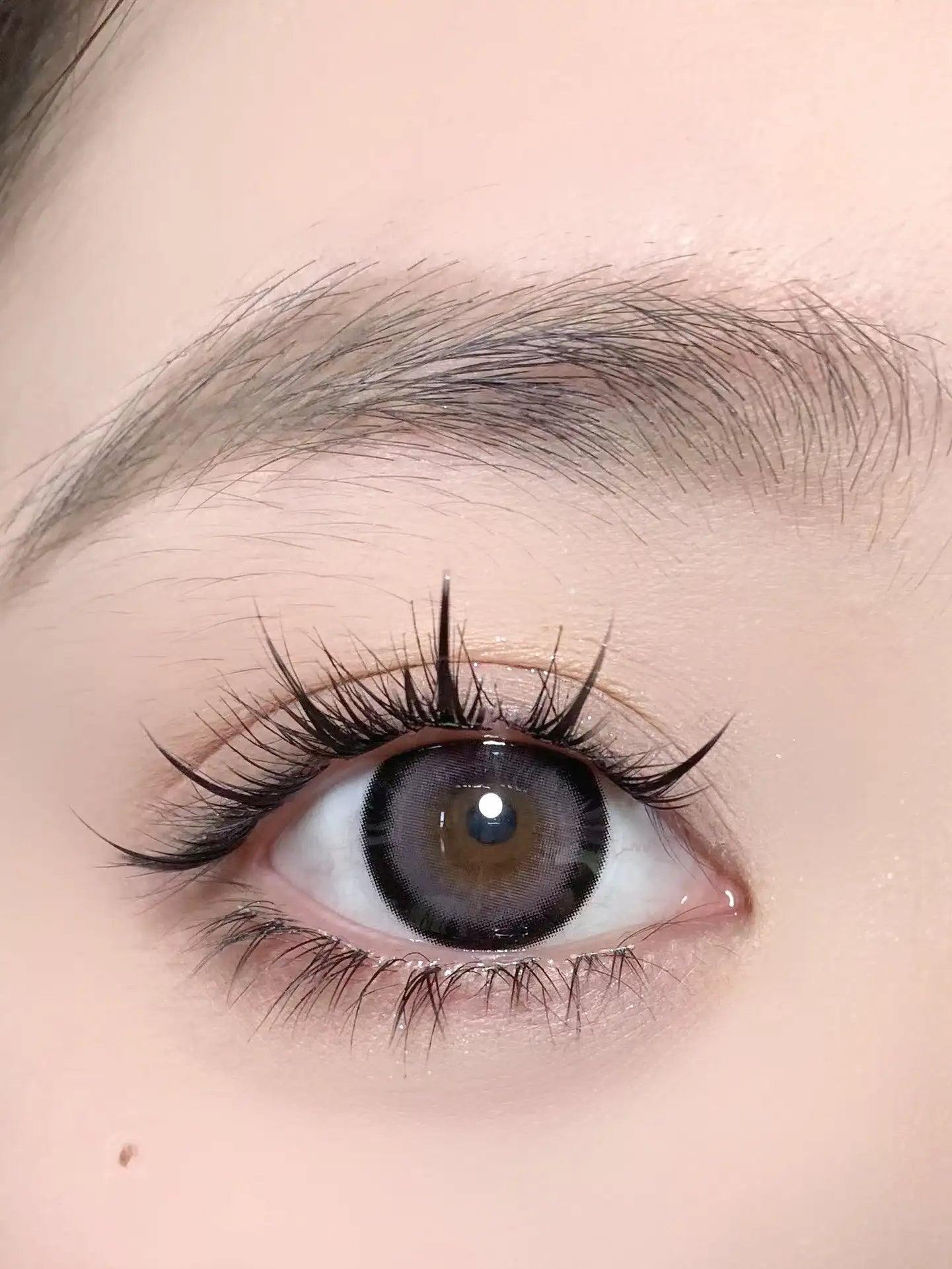 SALE 14.5 Lillilly【月抛】 灰糖奶油气泡 大直径狗狗眼 Y20